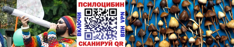 Галлюциногенные грибы прущие грибы Спас-Деменск